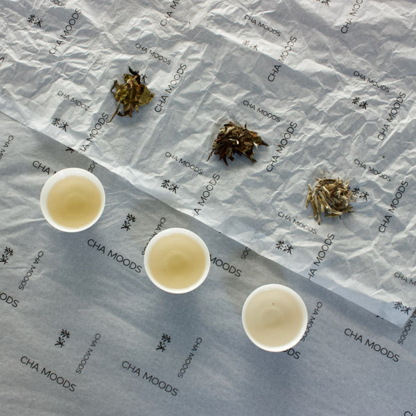 witte thee Sampler proeven | Tea Master Thee & Infusies- Cha Moods